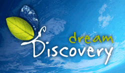 Codes Discovery Dream