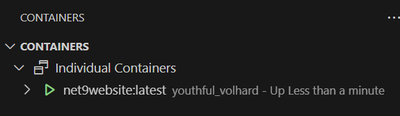 Running service container