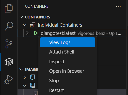 Viewing the logs of a container